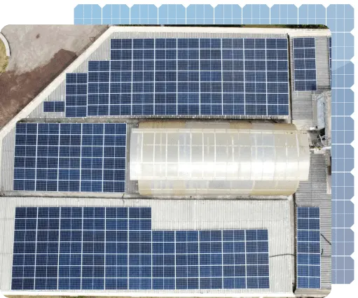 AnyConv.com__Group 117